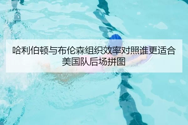 哈利伯顿与布伦森组织效率对照谁更适合美国队后场拼图